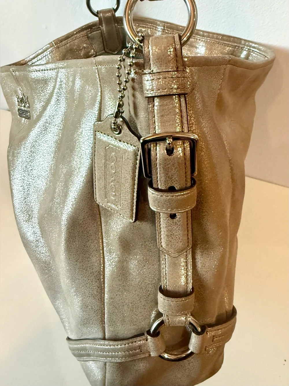 Coach Chelsea Metallic Leather Katarina Bag #19397